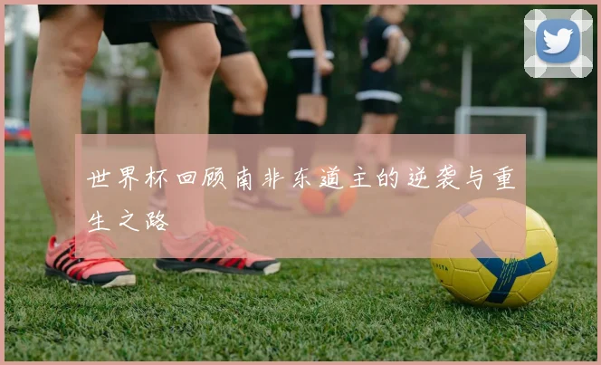 世界杯回顾南非东道主的逆袭与重生之路