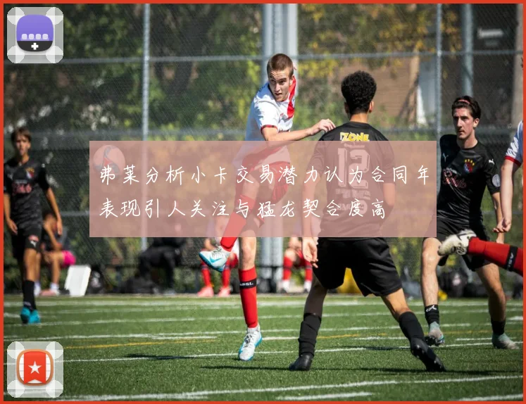 弗莱分析小卡交易潜力认为合同年表现引人关注与猛龙契合度高